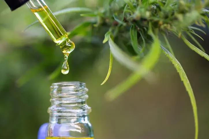 Cannabis oil dripping from dropper into glass bottle with marijuana plant