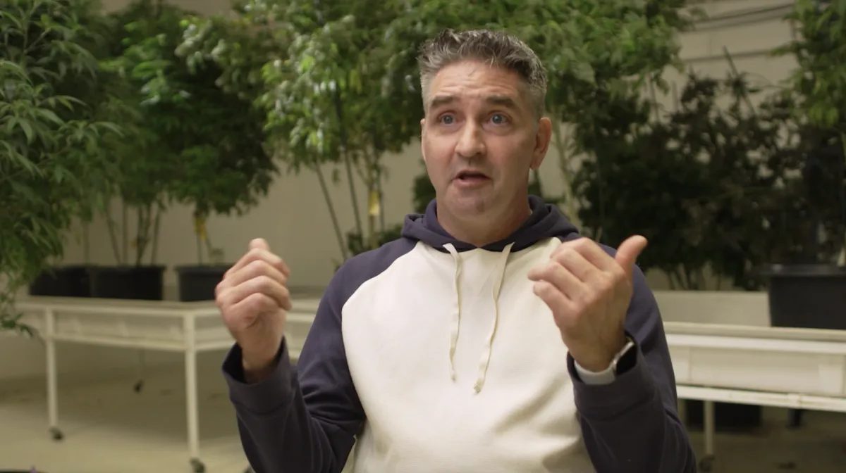 Man speaking with hands raised in front of indoor cannabis plants